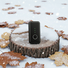 Load image into Gallery viewer, Gemini