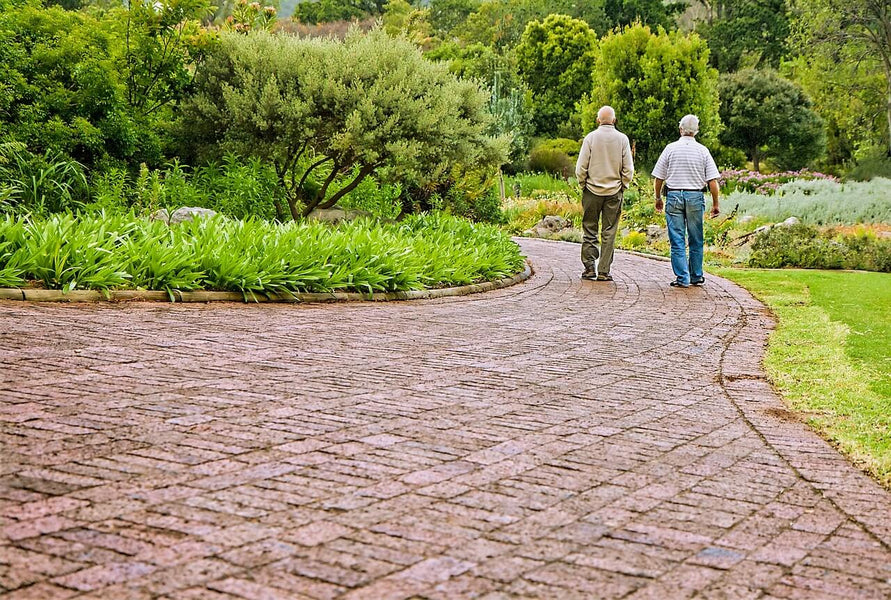 Alzheimer's & Technology: Advancements for Elderly Dementia Patients
